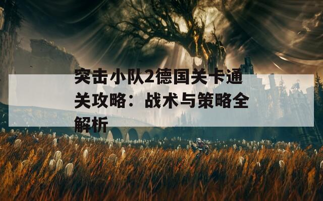 突击小队2德国关卡通关攻略：战术与策略全解析