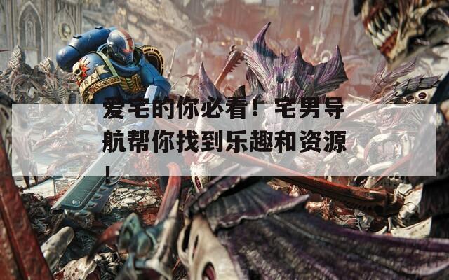 爱宅的你必看！宅男导航帮你找到乐趣和资源！