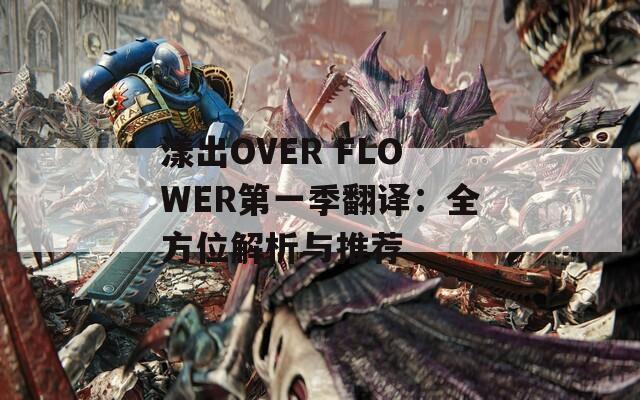 漾出OVER FLOWER第一季翻译：全方位解析与推荐