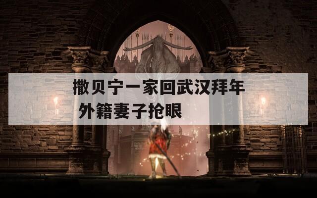 撒贝宁一家回武汉拜年 外籍妻子抢眼