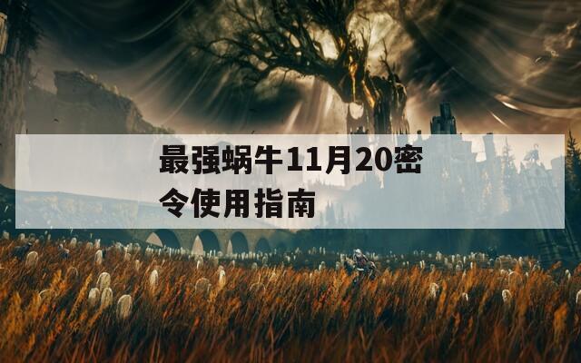 最强蜗牛11月20密令使用指南